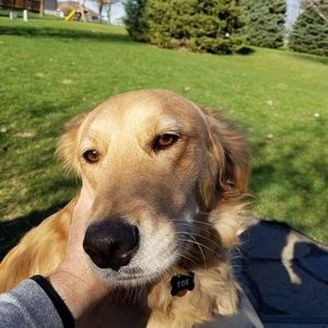 Meet your Posher, Ron